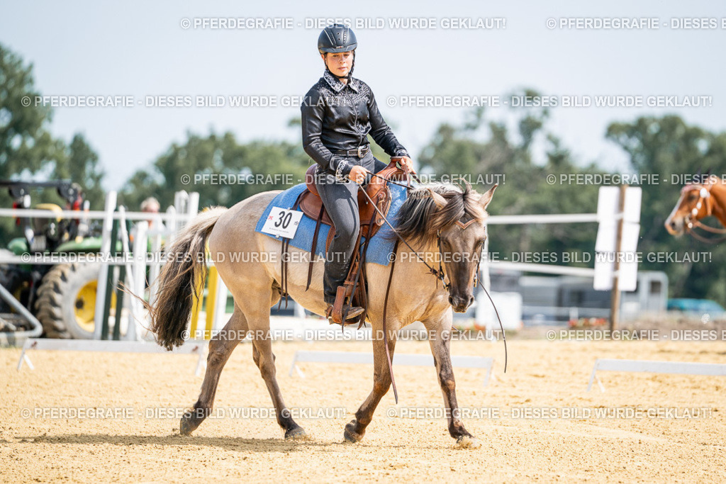 DSC09927 | Pferdegrafie