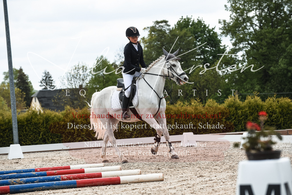 20230518_JK-Röhrsdorf-10-236 | Pferde- und Turnierfotografie in Westsachsen. Pferdeportraits, Auftragszeichnungen und intuitive Kunst.