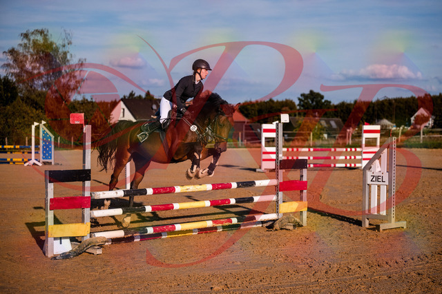 2026_10_03_Siefer-Hof_171006_Z81_06787817 | Professionelle Reitsport-, Turnier- und Eventfotografie von Robert Broda. Galerien mit ausgewählten und bearbeiteten Bildern direkt online ansehen und bestellen.