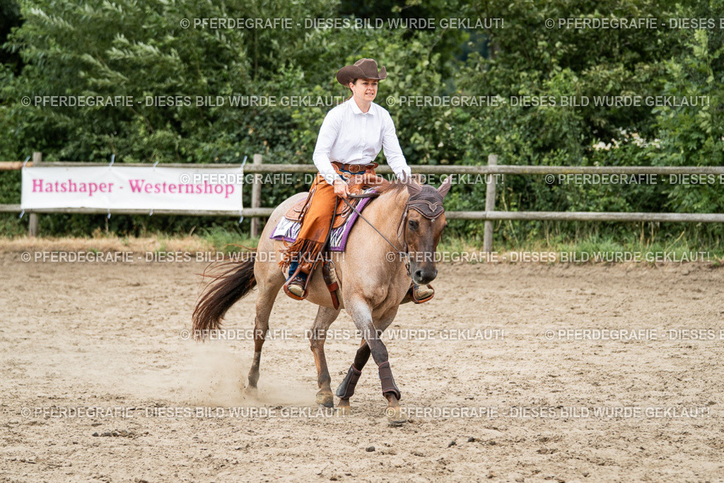 DSC02502 | Pferdegrafie