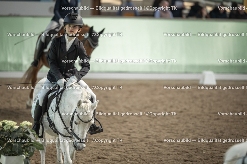 _D5A5718 | Emotionale Pferde- & People-Fotografie rund um Heidelberg, Leimen & Umgebung. Natürliche Fotos von Pferd, Mensch & Familie. Jetzt Termin sichern!