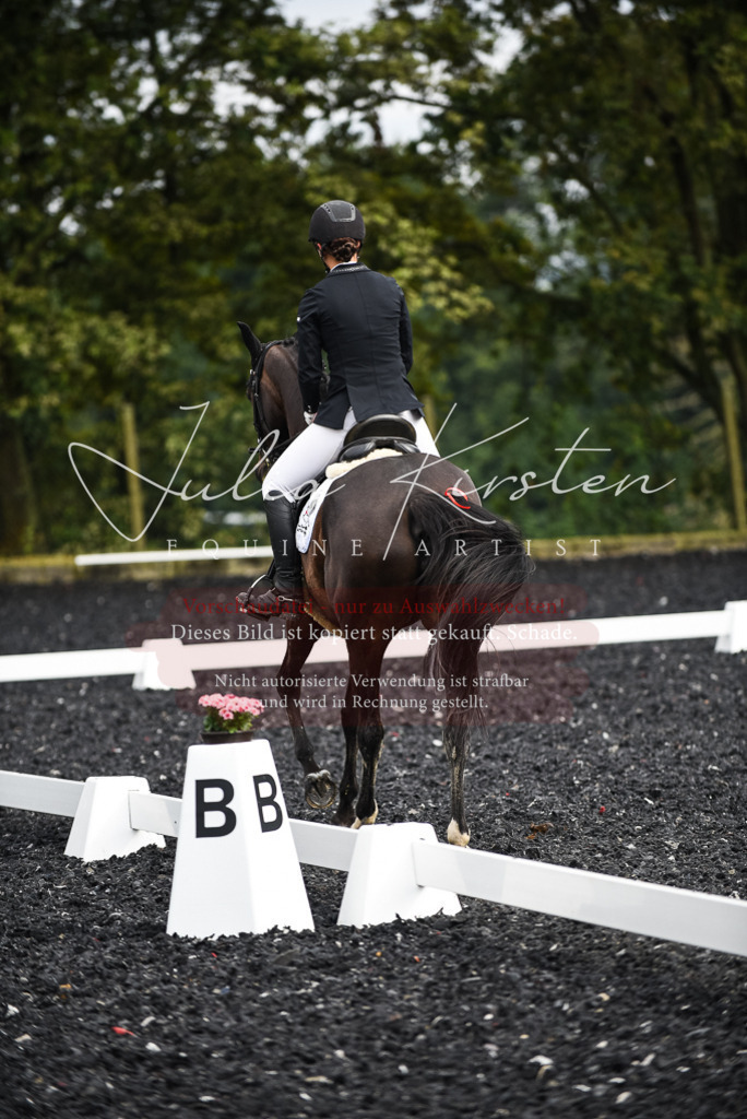 DSC_3016 | Pferde- und Turnierfotografie in Westsachsen. Pferdeportraits, Auftragszeichnungen und intuitive Kunst.