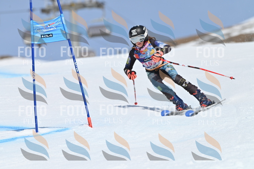 BGV_0102 | holidayphoto