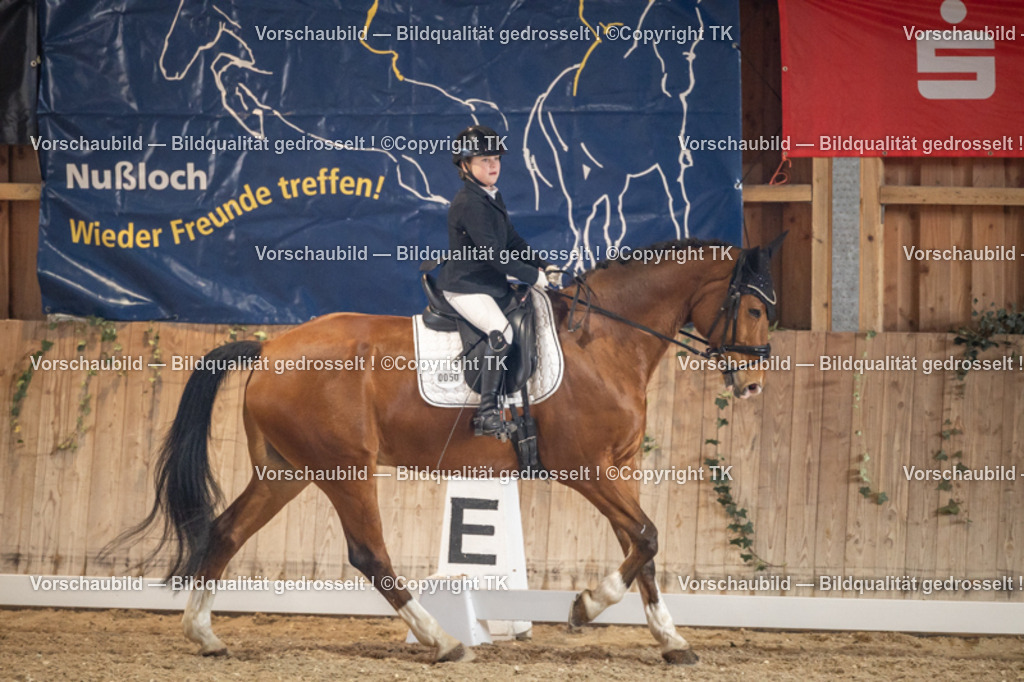 _D5A1470 | Emotionale Pferde- & People-Fotografie rund um Heidelberg, Leimen & Umgebung. Natürliche Fotos von Pferd, Mensch & Familie. Jetzt Termin sichern!