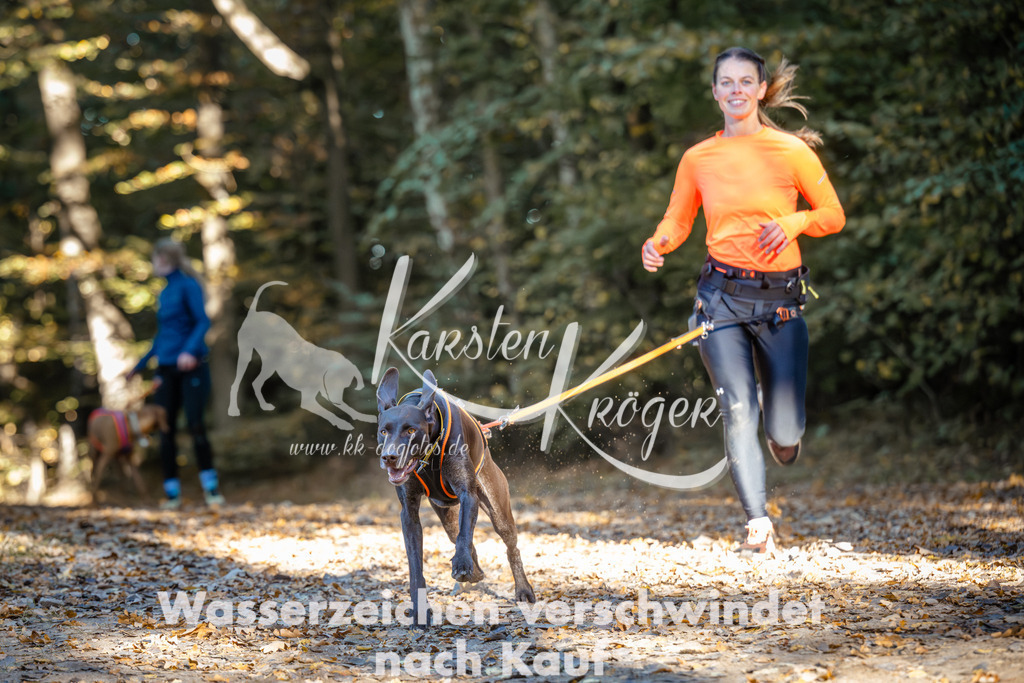 1003_ZZ99091 | kk-dogfotos