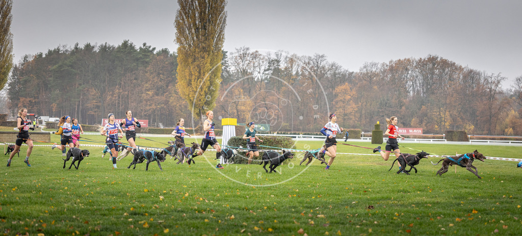 CaniXpix_DV3A8735 | Hundefotografie, Tierfotograf, Pfotenfotografie, Fotoshooting Hund, Hunde Portrait, Hundesport, Hundeportraits, Heideshooting, Hunde, Sportfotograf, Hundefotograf, Turnierhundsport, THS,  - Realisiert mit Pictrs.com