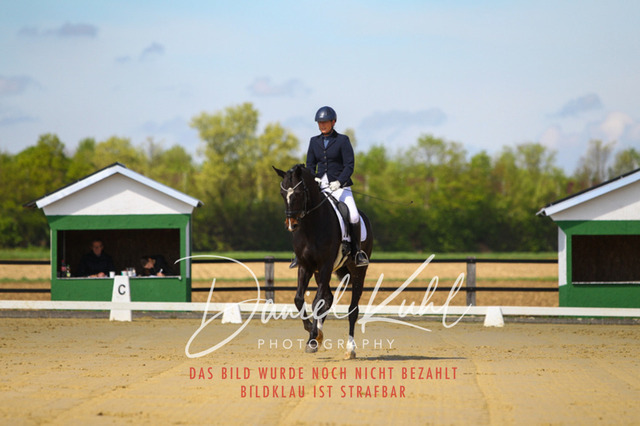 DKP43023 | Turniersportfotografie; Pferdefotografie; Dressurfotografie