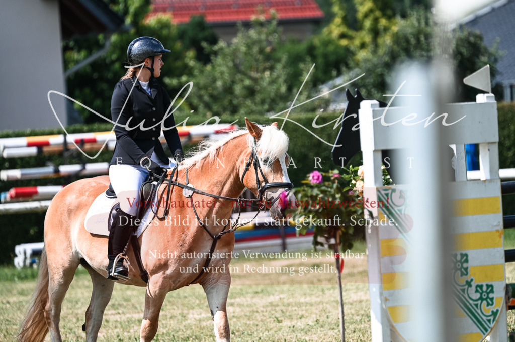 DSC_8728 | Pferde- und Turnierfotografie in Westsachsen. Pferdeportraits, Auftragszeichnungen und intuitive Kunst.