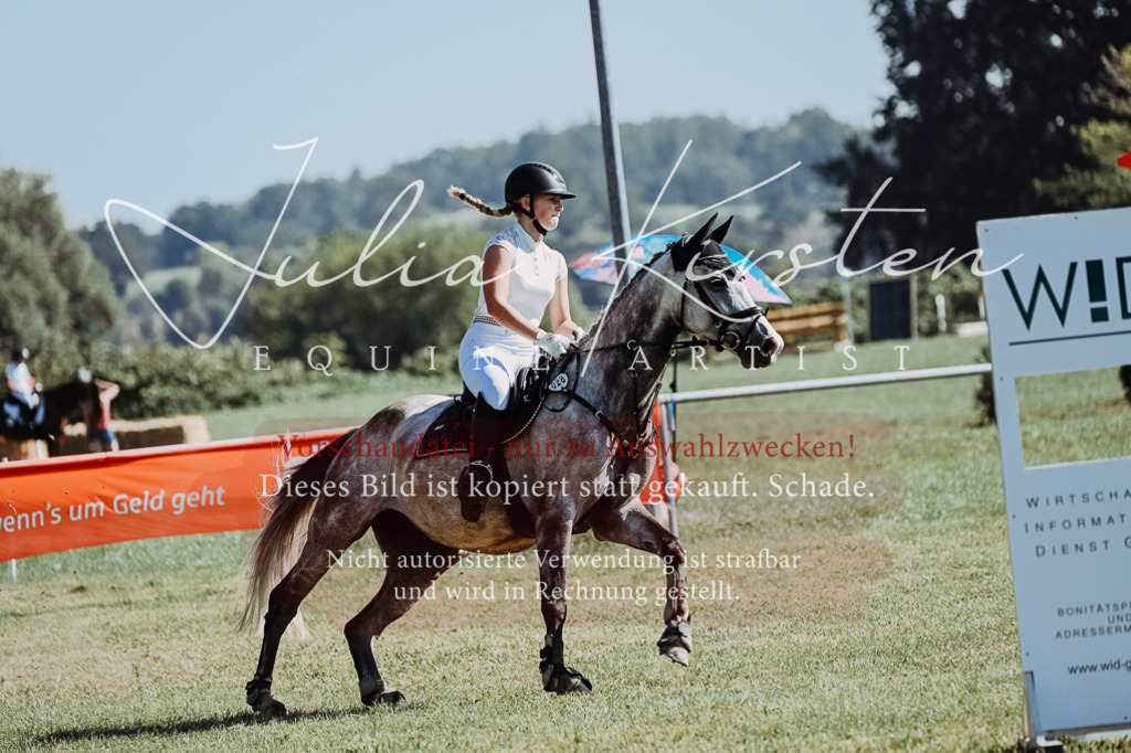 DSC_5525 | Pferde- und Turnierfotografie in Westsachsen. Pferdeportraits, Auftragszeichnungen und intuitive Kunst.