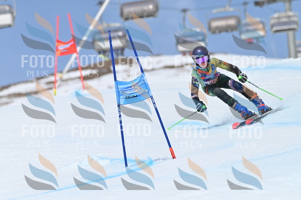 BGV_2529 | holidayphoto