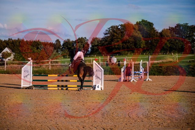2026_10_03_Siefer-Hof_171027_Z81_07147853 | Professionelle Reitsport-, Turnier- und Eventfotografie von Robert Broda. Galerien mit ausgewählten und bearbeiteten Bildern direkt online ansehen und bestellen.