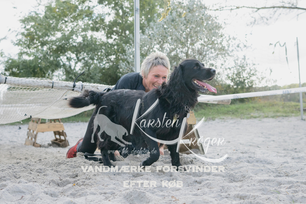 1358_ZZ98819 | kk-dogfotos
