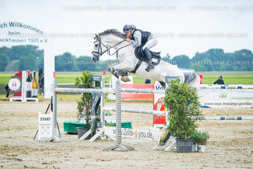 DSC00459 | Pferdegrafie