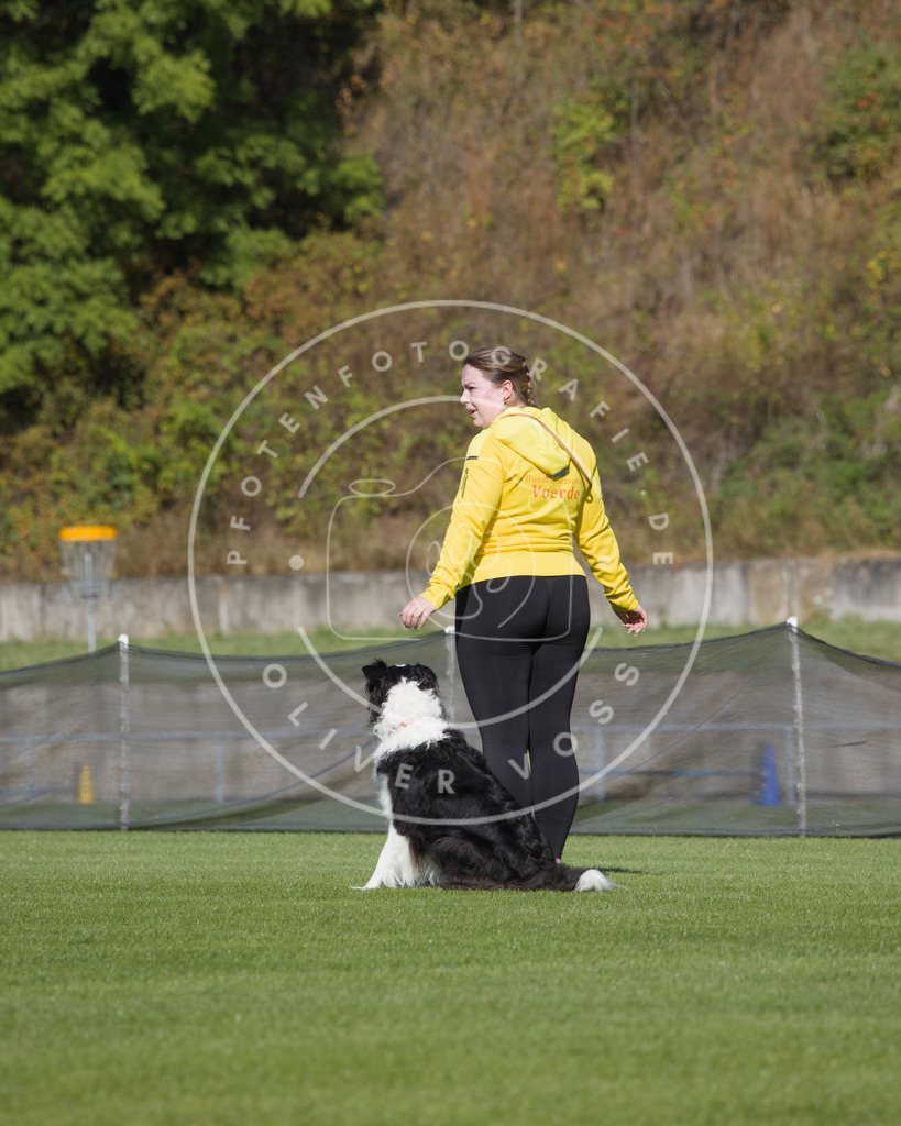 0L8A2363 | Hundefotografie, Tierfotograf, Pfotenfotografie, Fotoshooting Hund, Hunde Portrait, Hundesport, Hundeportraits, Heideshooting, Hunde, Sportfotograf, Hundefotograf, Turnierhundsport, THS,  - Realisiert mit Pictrs.com