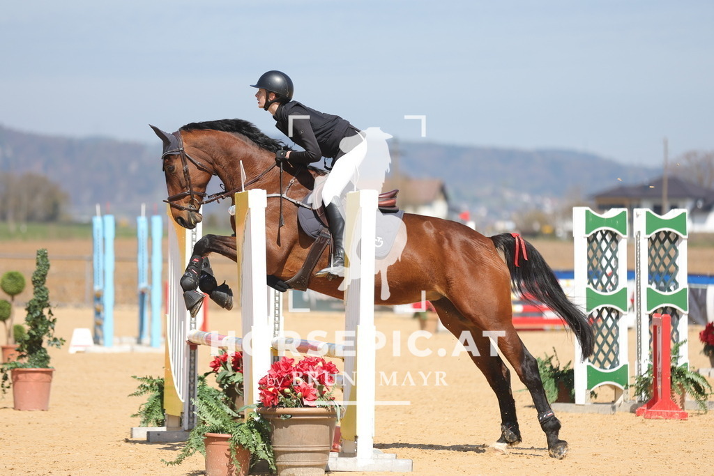 0P6A9691 | Willkommen bei Brunnmayr - Design & Fotografie – Ihrem Spezialisten für Reitturniere und Pferdeveranstaltungen in Oberösterreich, Salzburg und Bayern! Seit über 17 Jahren sind wir leidenschaftlich dabei.