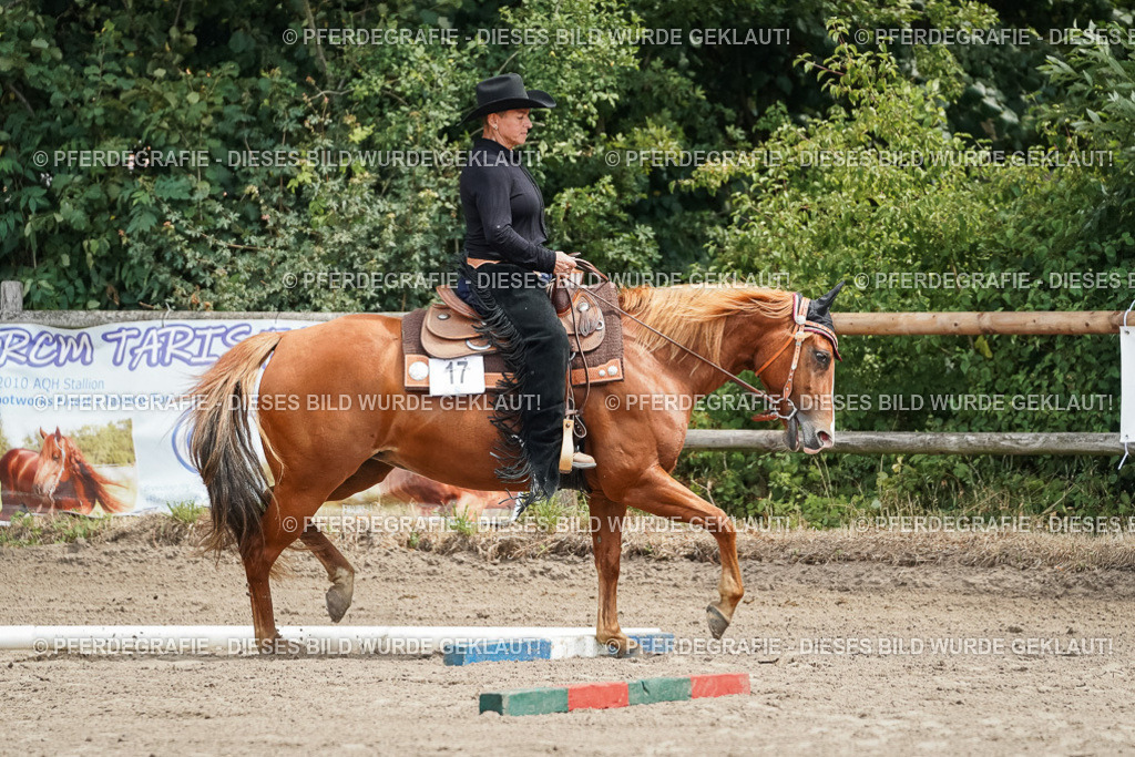 DSC06027 | Pferdegrafie