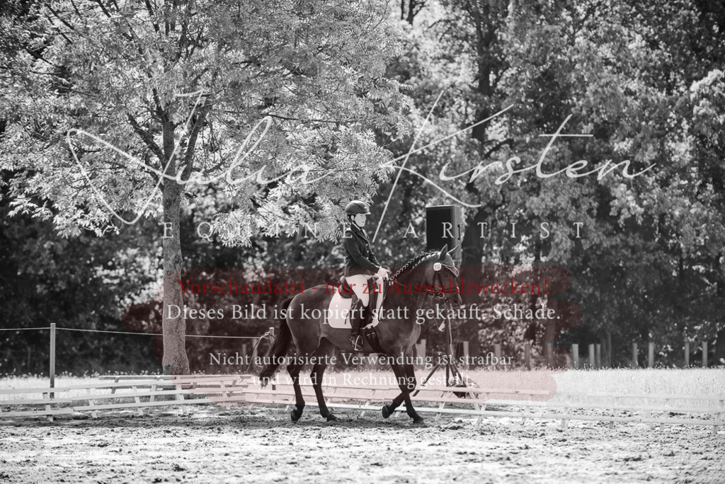 DSC_0357 | Pferde- und Turnierfotografie in Westsachsen. Pferdeportraits, Auftragszeichnungen und intuitive Kunst.