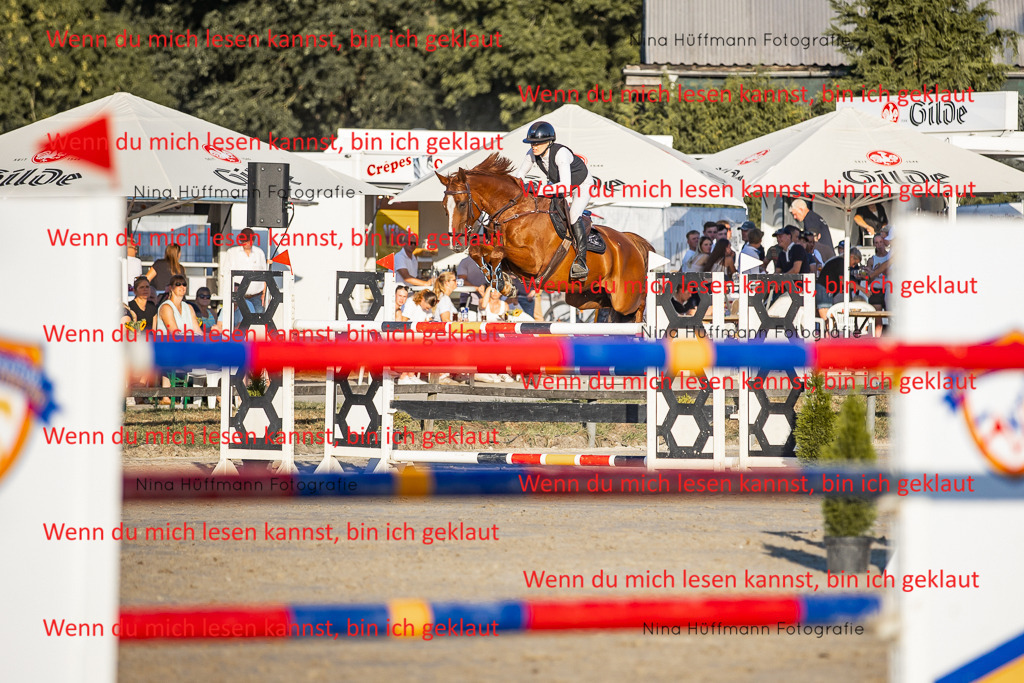 BK1A8887 | Turnierbilder Turnierfotos Nina Hüffmann Turnierfotografie Pferdefotografie Tierzeichnung Haustierzeichnung Pferdezeichnung Hundezeichnung Videograf  - Realisiert mit Pictrs.com