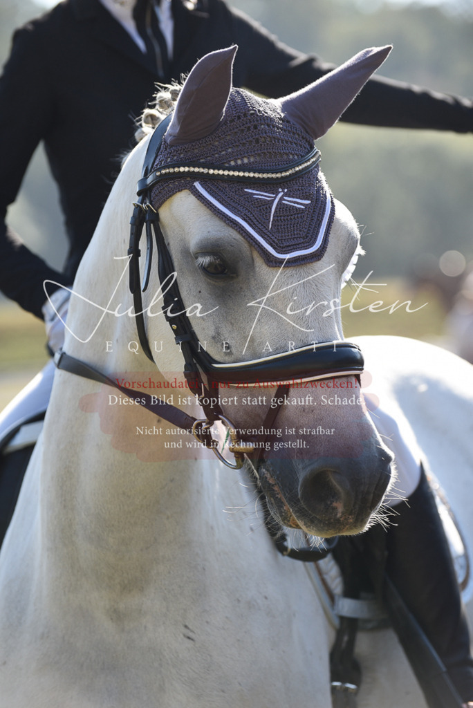 DSC_5493 | Pferde- und Turnierfotografie in Westsachsen. Pferdeportraits, Auftragszeichnungen und intuitive Kunst.
