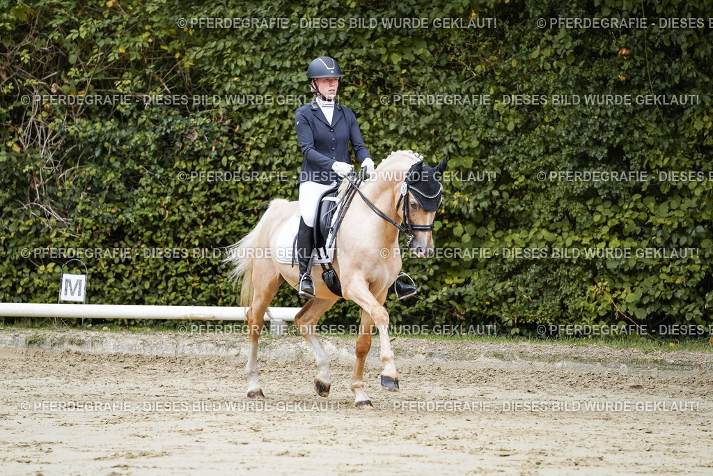 DSC08911 | Pferdegrafie