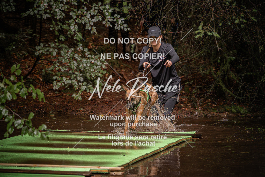 nelerasche_Wingst_Sa1330-1400_73 | nelerasche