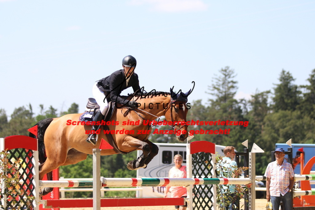 IMG_2600 | lmwpictures - Realisiert mit Pictrs.com