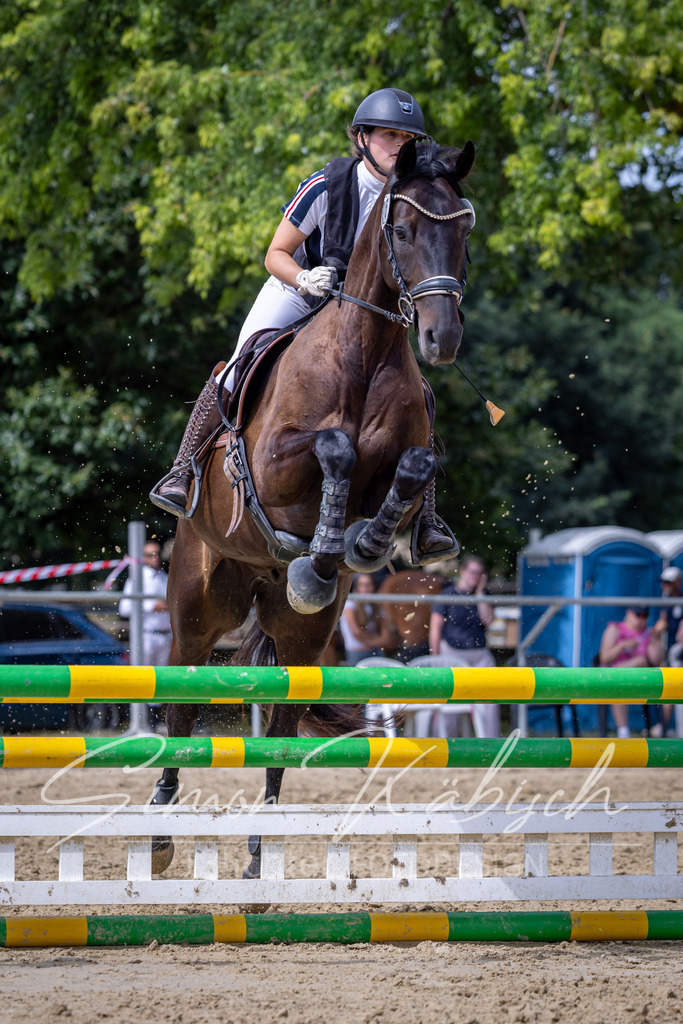 20260704-_3LI0722 | Tierfotografie Pferde, Hunde, Katzen, Haustiere.
Turnierfotografie Reitturniere, Reiten, Springreiten, Dressur in Hanau, dem Main-Kinzig-Kreis und dem Rhein-Main- Gebiet um Frankfurt