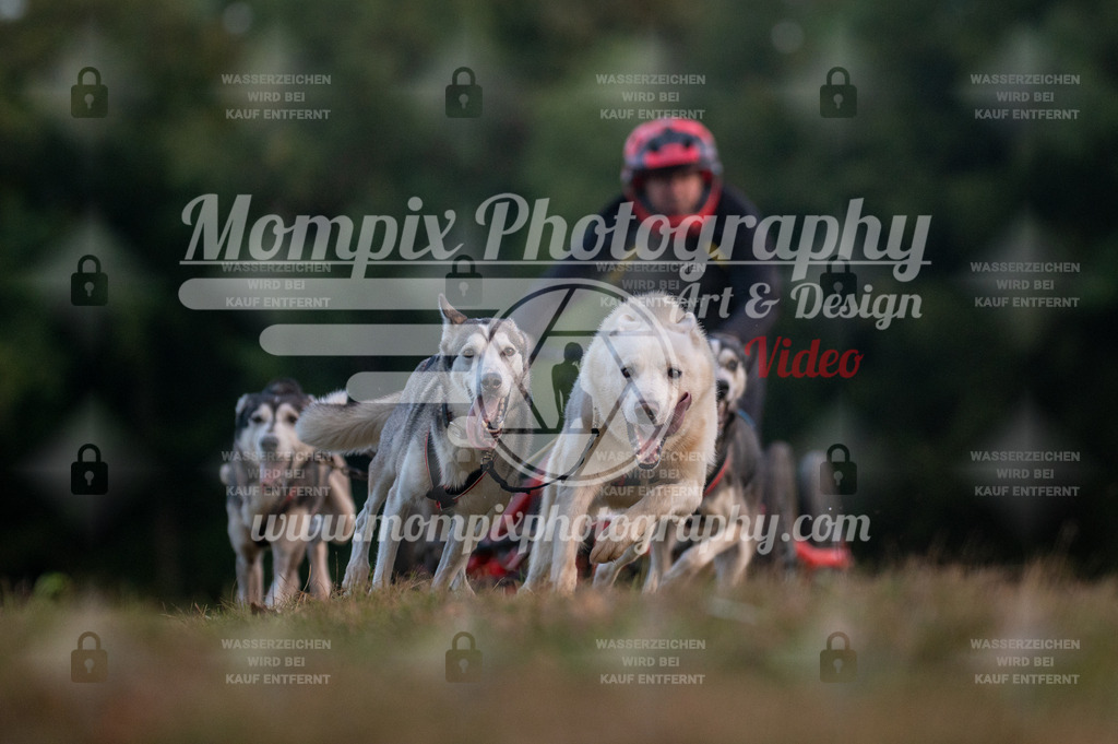 CDLBDB_15_10_2023_Dimanche-6 | PayLife