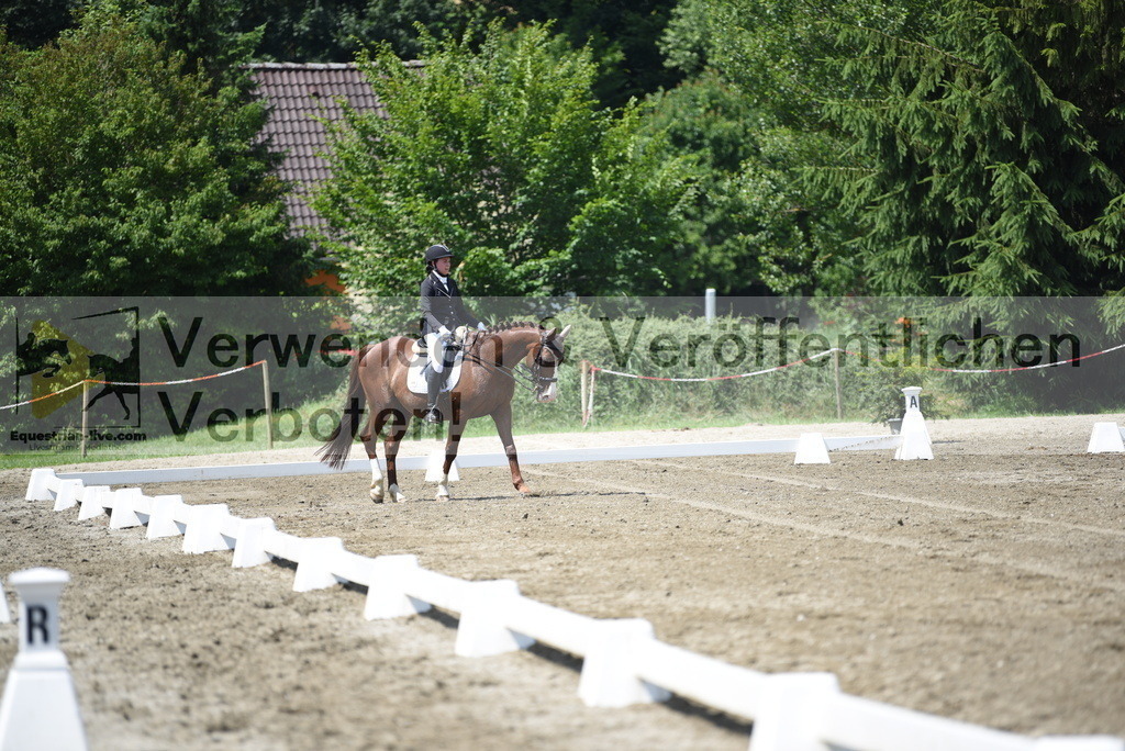 DSC_8833 | equestrian-live-com