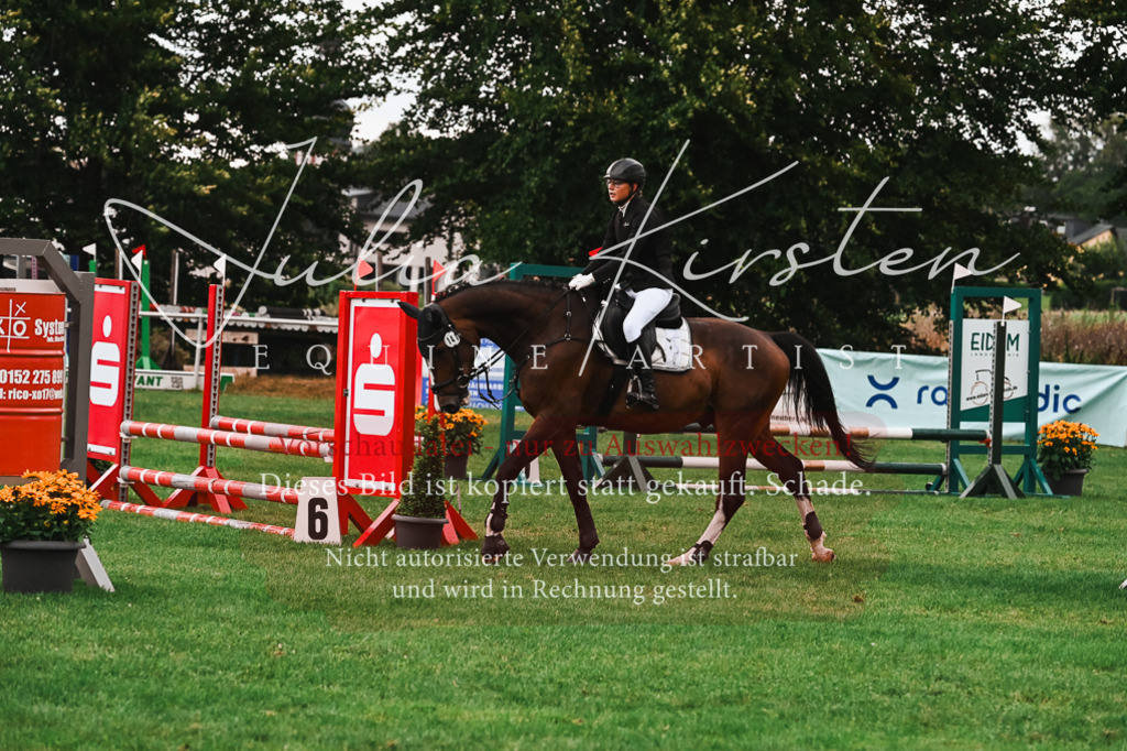 DSC_6157 | Pferde- und Turnierfotografie in Westsachsen. Pferdeportraits, Auftragszeichnungen und intuitive Kunst.