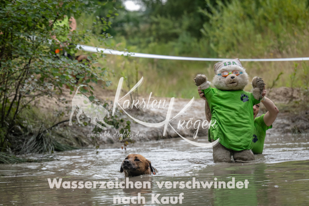 1435_ZZ91815 | kk-dogfotos