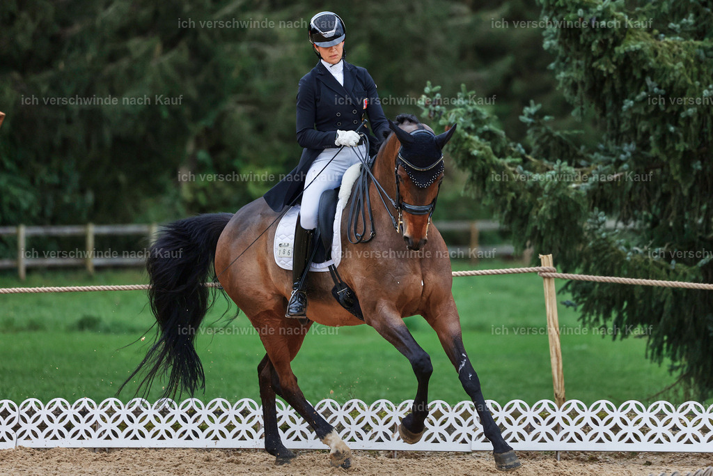 12-186-DRESSUR  S___  -StoibPH-5379 | working equitationturnier fotograf videograf stoibphotography marixx film working equitation deutschland reitsport turnierfotografie eventfotografie equestrian events