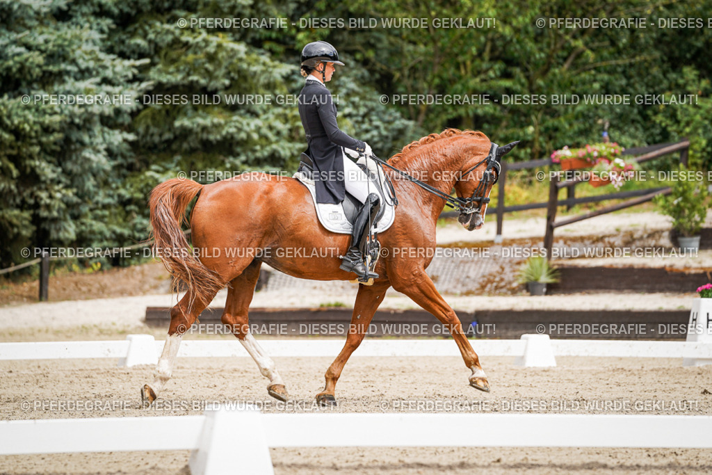 DSC05675 | Pferdegrafie