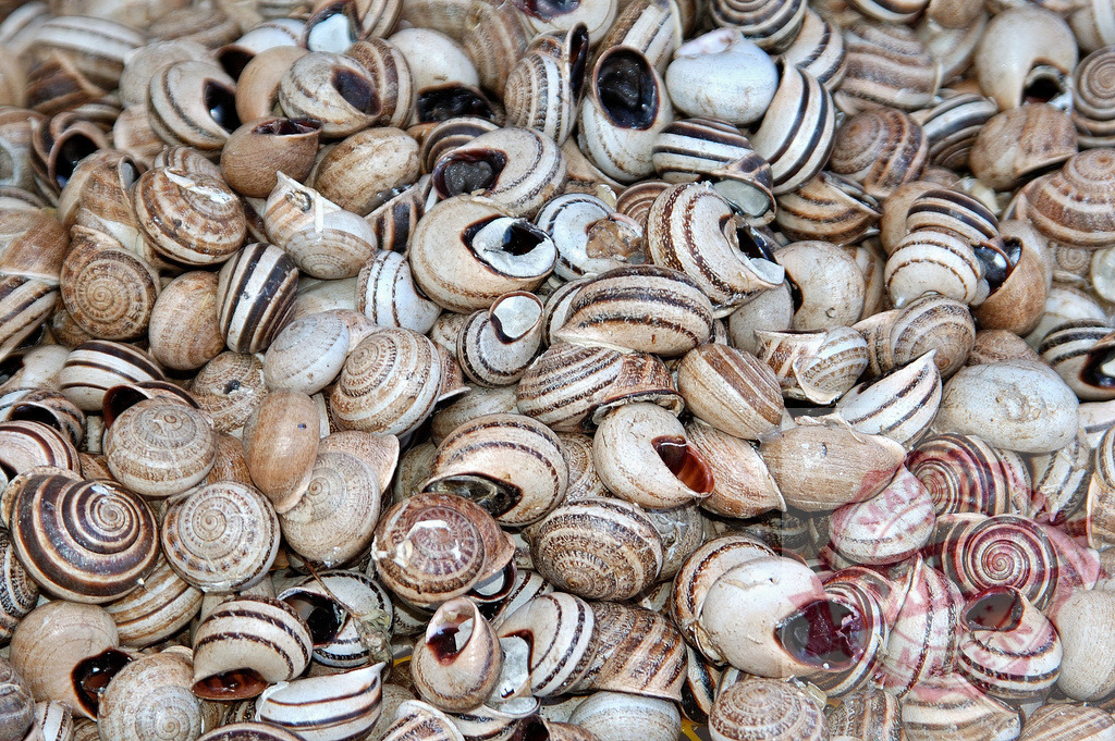 Edible snails piling up at a market stall | Snails for sale filling a market stall, forming a natural pattern - Realisiert mit Pictrs.com