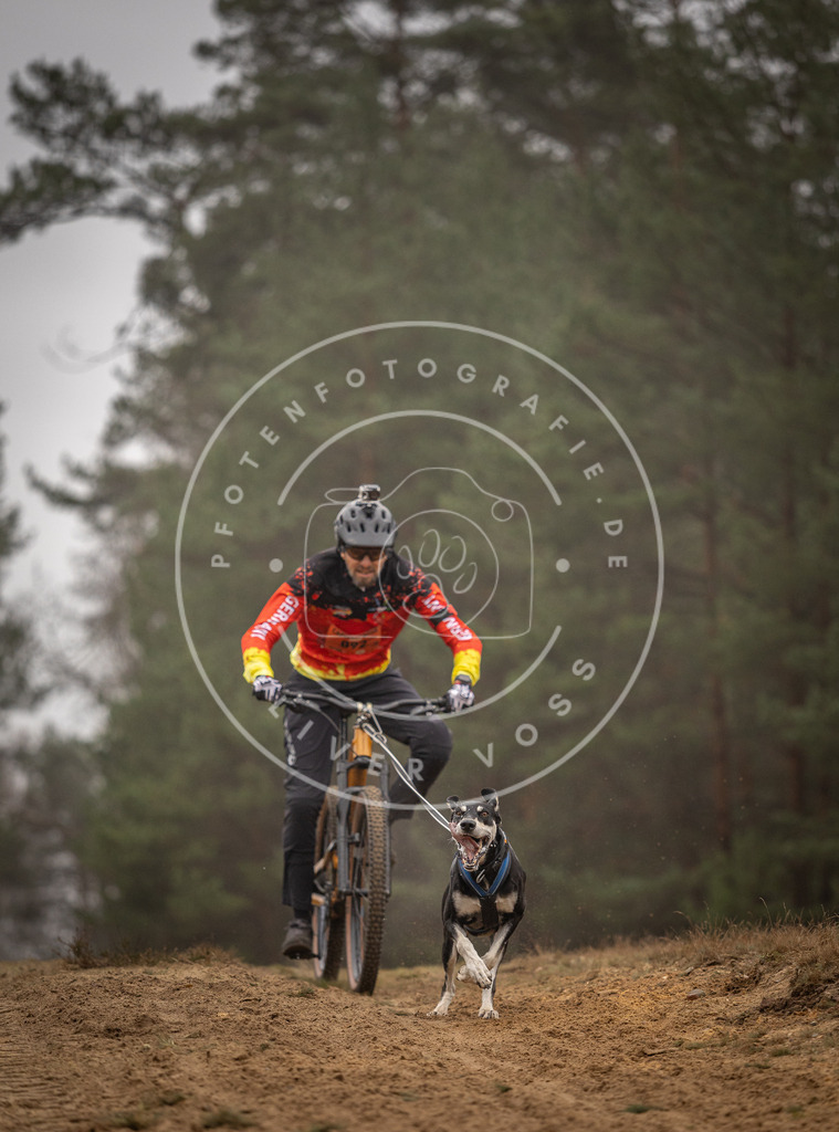 Pfotenfotografie_DV3A2981 | Hundefotografie, Tierfotograf, Pfotenfotografie, Fotoshooting Hund, Hunde Portrait, Hundesport, Hundeportraits, Heideshooting, Hunde, Sportfotograf, Hundefotograf, Turnierhundsport, THS,  - Realisiert mit Pictrs.com