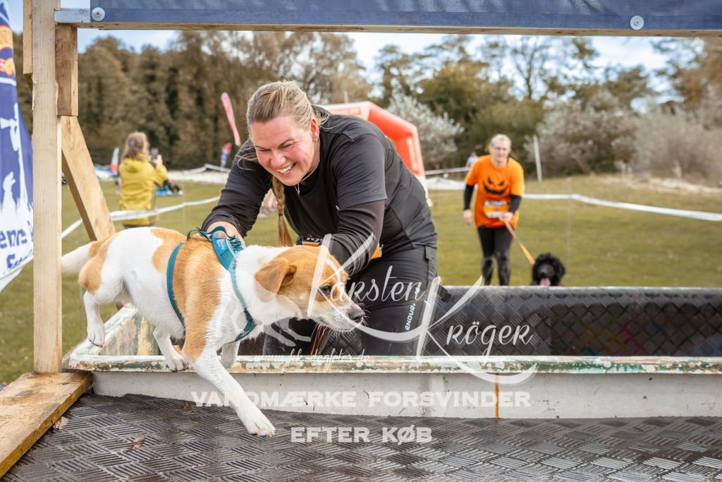 1350_ZZ92384-2 | kk-dogfotos