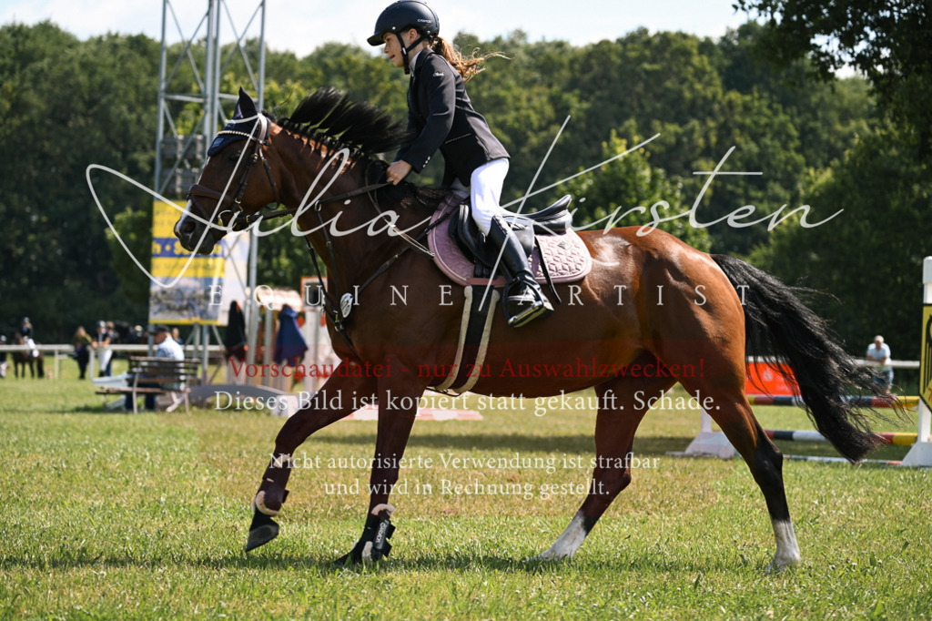 DSC_8998 | Pferde- und Turnierfotografie in Westsachsen. Pferdeportraits, Auftragszeichnungen und intuitive Kunst.