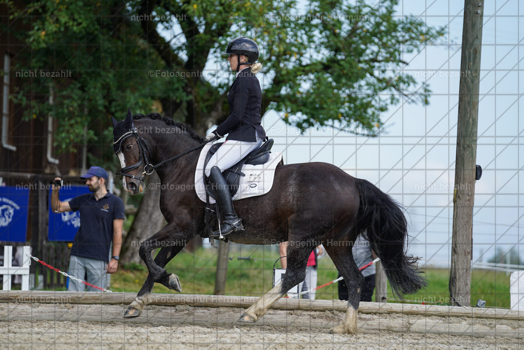 20230826-FAH05104 | Forstinning, 2023, Dressurturnier, Turniersportbilder, Turnierfotografen Bayern, Fotoagentur Herrmann, Reitsportfotografie, Turnierbilder