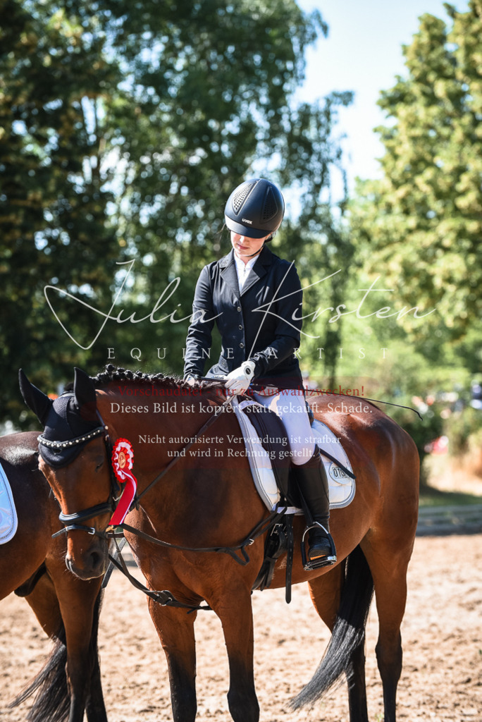 DSC_3682 | Pferde- und Turnierfotografie in Westsachsen. Pferdeportraits, Auftragszeichnungen und intuitive Kunst.