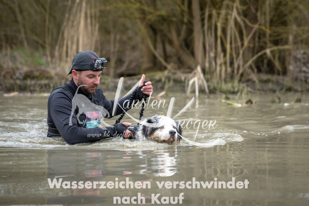 1440_ZZ99965 | kk-dogfotos