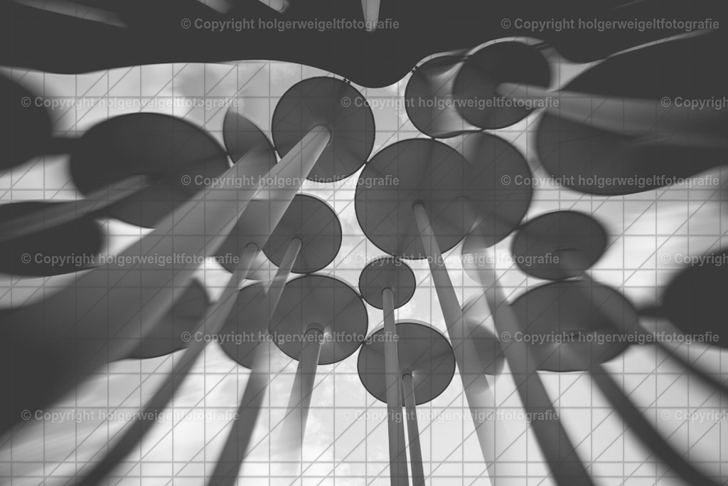20260703204041Z63_5382 | Kaufen sie online außergewöhnliche Fotografien auf Leinwand Acrylglas Fotoprint Aludibond von holgerweigeltfotografie - Realisiert mit Pictrs.com