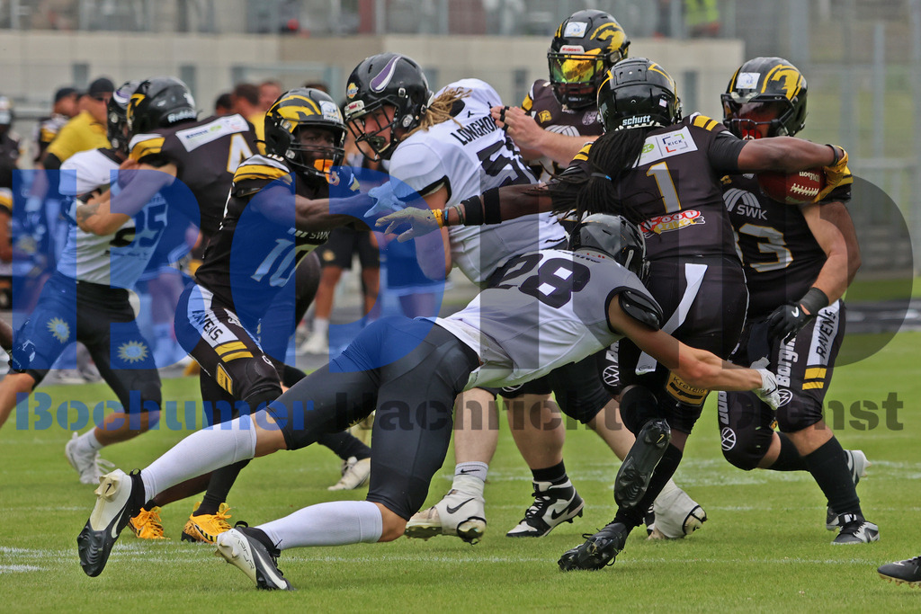 20250628-Krefeld-Ravens-vs-Langenfeld-Longhorns_Steinberg-IMG_6280 | GFL2: Krefeld Ravens vs Langenfeld Longhorns - Realisiert mit Pictrs.com