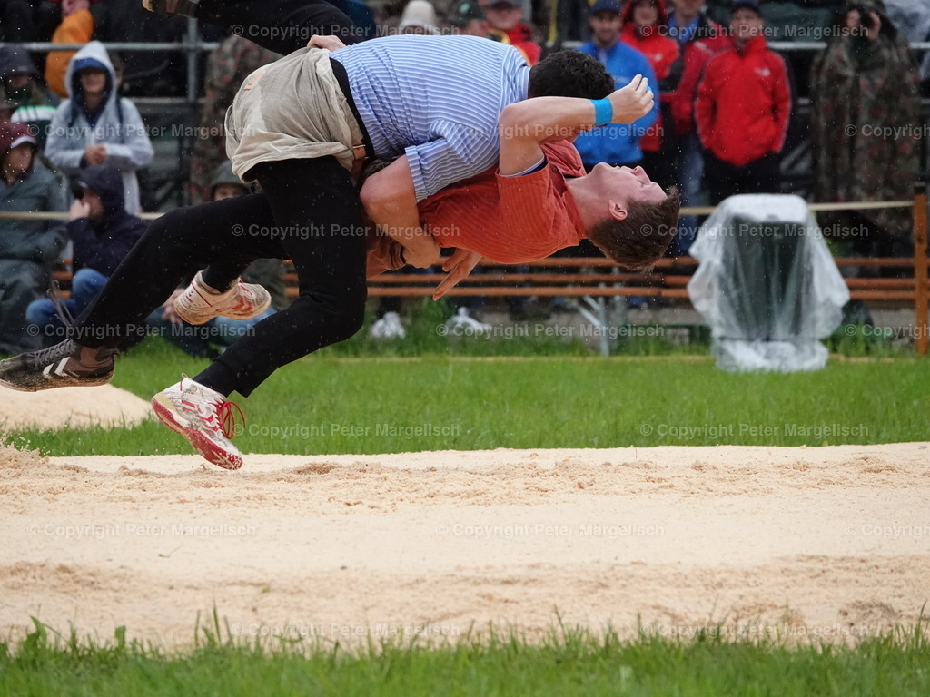 DSC07530 | Schwingen - Realisiert mit Pictrs.com