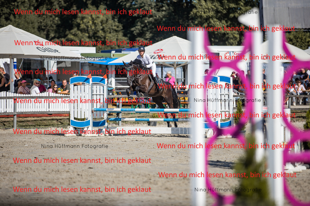 BK1A7368 | Turnierbilder Turnierfotos Nina Hüffmann Turnierfotografie Pferdefotografie Tierzeichnung Haustierzeichnung Pferdezeichnung Hundezeichnung Videograf  - Realisiert mit Pictrs.com