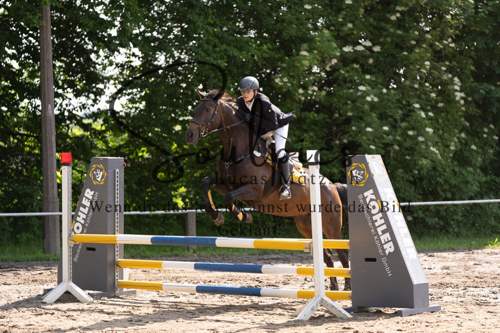 A7507272 | Turnier/Reitfotograf