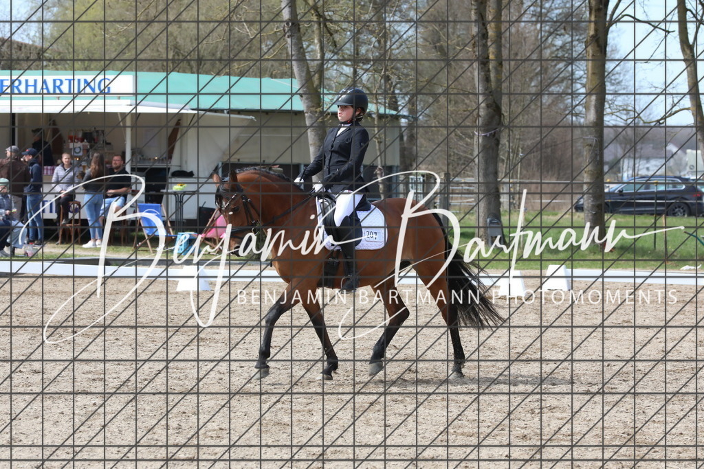 AZ2A3812 | Benjamin Bartmann Photomoments