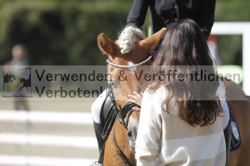 _MG_4337 | equestrian-live-com
