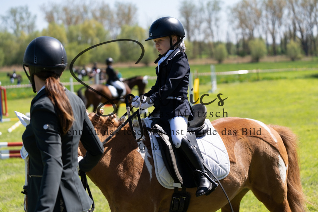 A7V01219 | Pferdefotograf