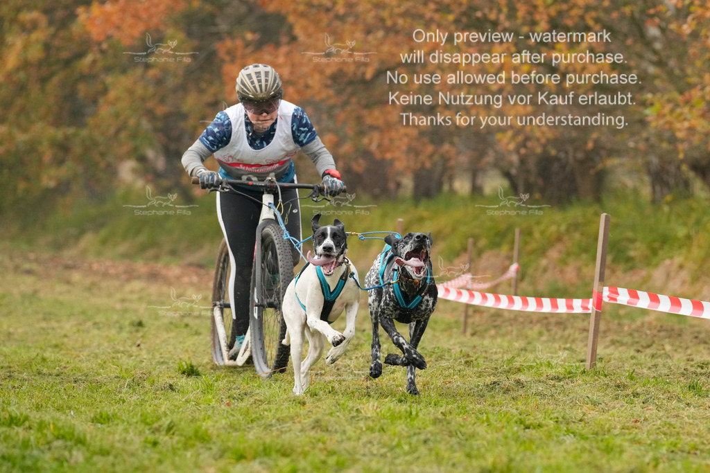 Visbeck_Sa_DS2DR2-6 | stephaniefillaphotographie - Realisiert mit Pictrs.com