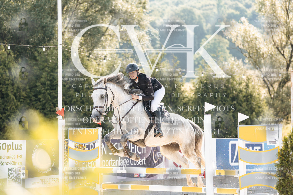 CK907538 | Turnierfotografie Pferdefotografie Trier Rheinland-Pfalz Pferdesport Reitsport Tierfotografie Sportfotografie Pferdevideo Pferdevideografie Equestrianvideography equestrianphotography  - Realisiert mit Pictrs.com